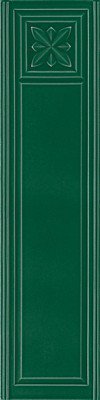 MEDICI 20X80 BOTTLE C.