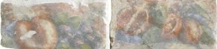 LISTELLO AFFRESCO FRUTTA A+B 5.2X10.5