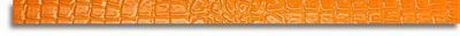 LISTELLO ORANGE CROCOJOY 3.8X72