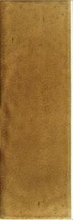 AMBER TRADITIONAL STYLE 15X45