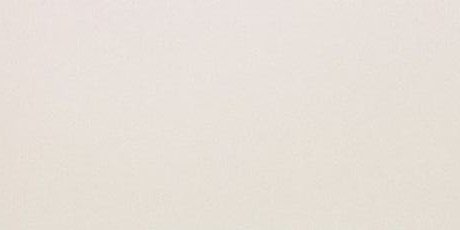 ICON WHITE 12