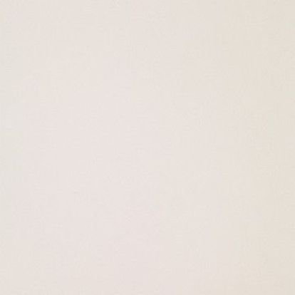 ICON WHITE 60L