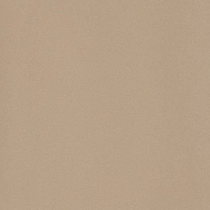 ICON BEIGE 60L