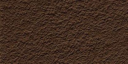 ICON BROWN RB36