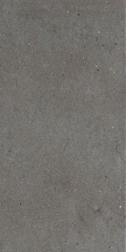 COLOMBINO 36