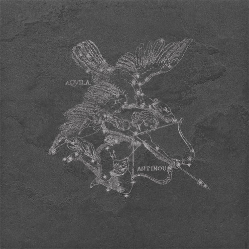 49X49 AQUILA FULIGO