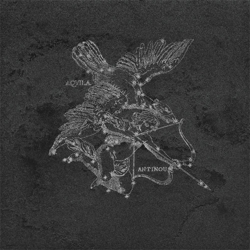49X49 AQUILA GRYPHEA