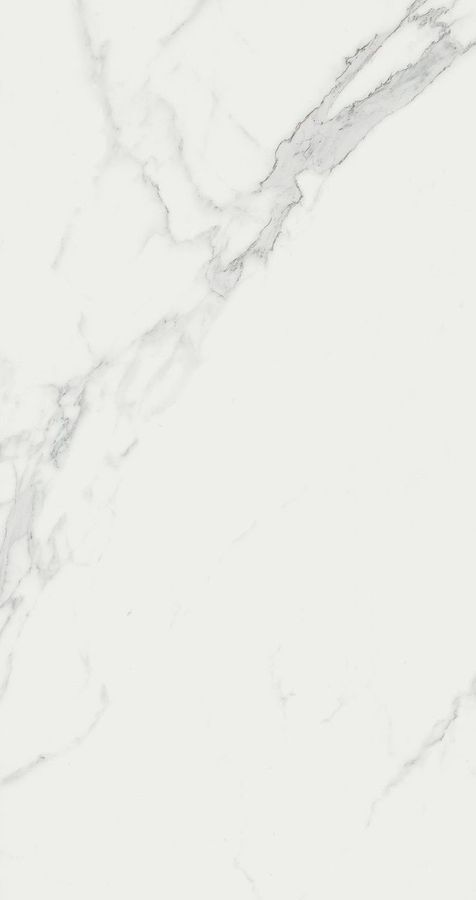 Marvel Calacatta 50x120