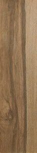 Etic Quercia Antique 21,5x88 Lappato