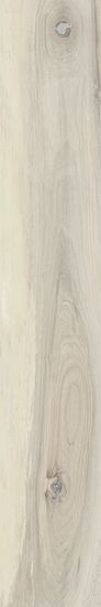 20X120 CATLINS RETT.