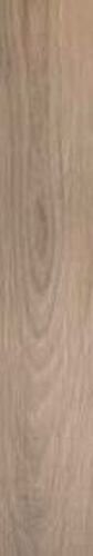 ACANTO ROVERE RET RI 20X120