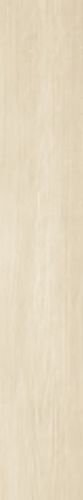 NEW MAPLE RET(48)RA 20X120