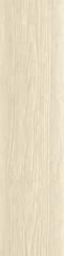 NEW MAPLE RET 30X120