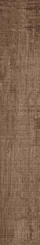 BEAUTIFUL SHADE RET(420X120