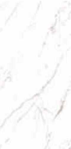 STATUARIO GRIGIO LUCIDO A
