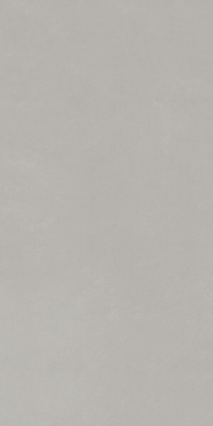 PLANET SILVER SF/60X120/C/R