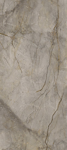 WILD FOREST GREY POL BL-A