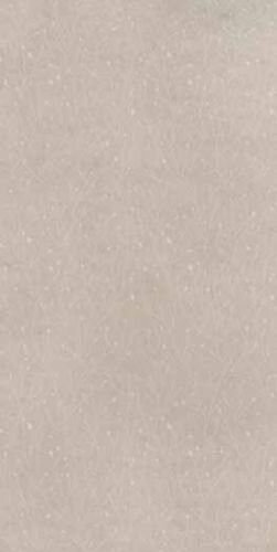 EARTHTECH DESERT_GROUND R11 20MM 60X120 R