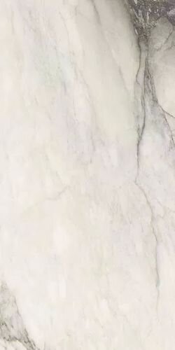 ETOILE RENOIR GLOSSY 6MM 60X120 RET