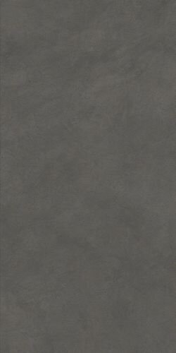 Boost Natural Coal 60x120