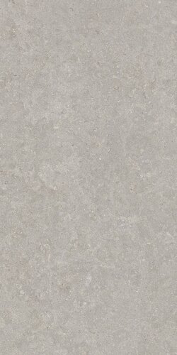 GHENT GREY AS/60X120/C/R