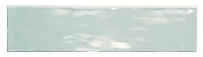 POITIERS MINT/30