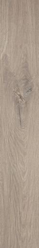 ROOTS 20X120 TAUPE MATT R9