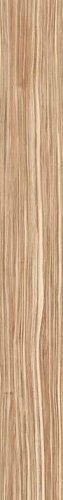 ZEBRAWOOD