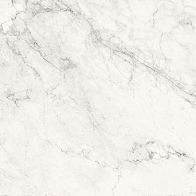 AE CAL6 120 LP 