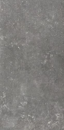 ATMOSPHERES CHARM PAT SMOOTH R9 60X120 R