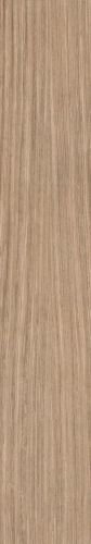 NATURE MOOD PLANK 01 Strutturata 10MM 30X120 RE