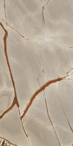 NATURE MOOD RAINFOREST GLOSSY 6MM 60X120 RT