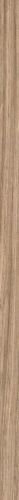 NATURE MOOD STRIP PLANK 01 4X120