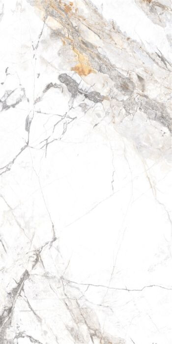60X120 INVISIBLE MARBLE GREY POLISHED GL POR TL