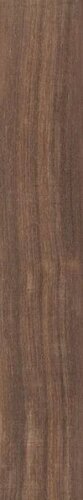 BG6 20X120 RETT. GRIP PLUS
