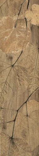 FI9 FOLIAGE 20X80