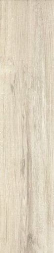 FI10 PLUS 20X80 8,5 MM