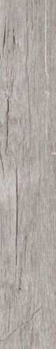 MN5 PLUS 16,5X100
