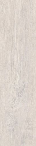 MN10 PLUS 20X80