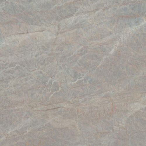 OYSTER GREY LUCIDO