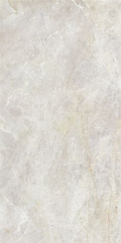 60X120 AMAZON POLISHED BONE REC GL POR