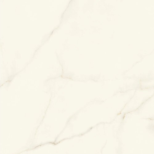 Marvel Calacatta Apuano120x120 Silk