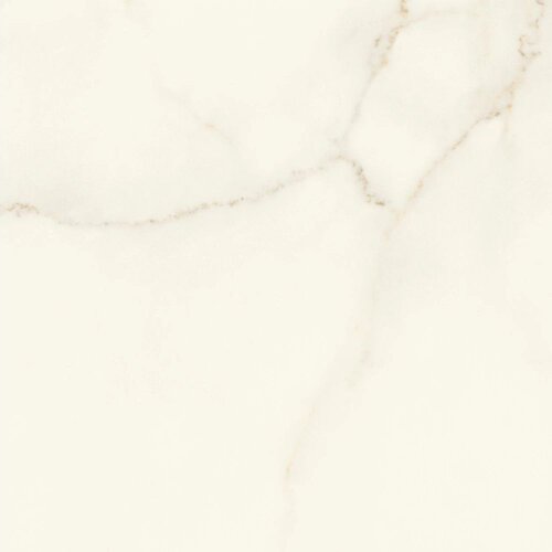 Marvel Calacatta Apuano 60x60 Matt