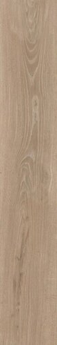 WOODSLATE LIFE CHAMPAGN MATT 20X120 RET