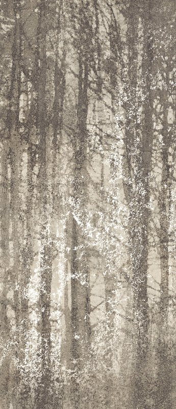 YLICO 120X278 WOOD FOG