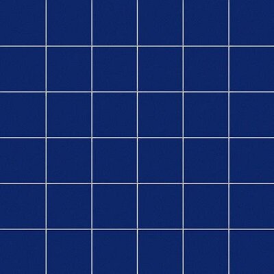 1X1 NEON / RETE