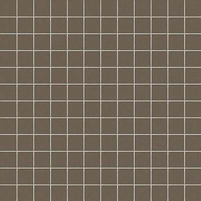 1X1 XENO / RETE