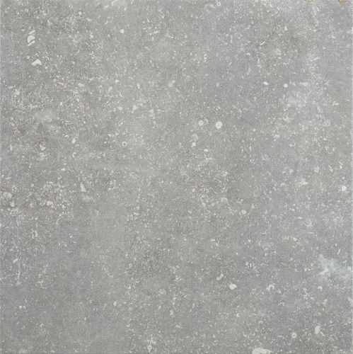 ARDENNE GRIGIO R11 40X40