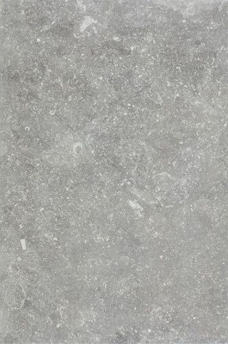 ARDENNE GRIGIO 40X60,8