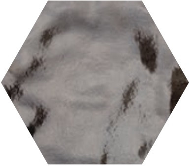 ESAG.FUORIMUSCHIO E2 24X27,7